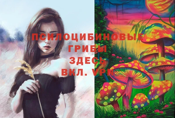 PSILOCYBIN Богородск