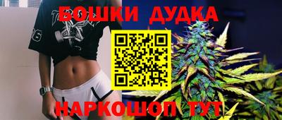 индика Балашиха