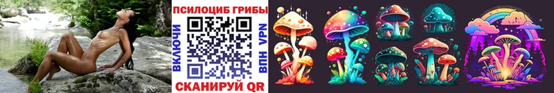 Галлюциногенные грибы Cubensis  как найти закладки  Грозный 