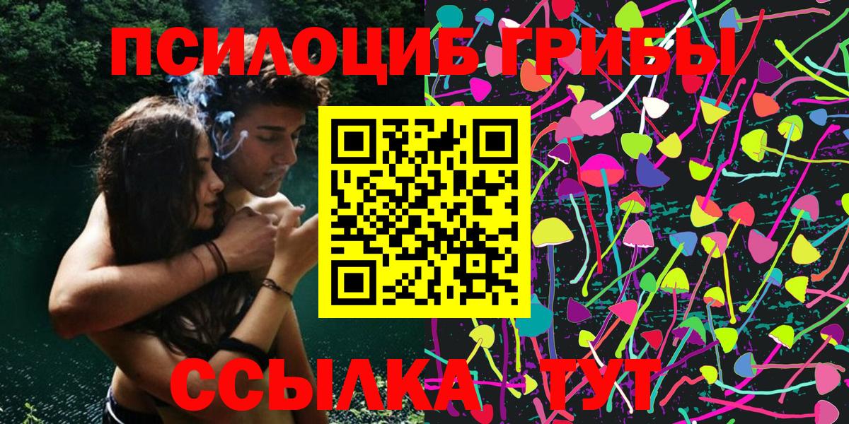 Галлюциногенные грибы мицелий  Галлюциногенные грибы мицелий  купить  сайты  Грозный 