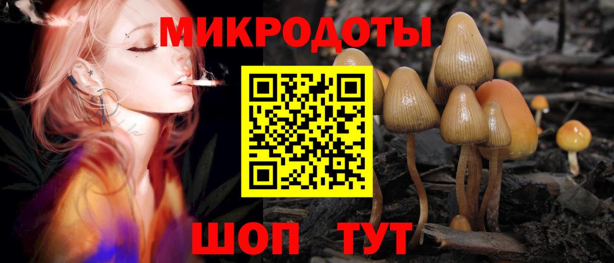 Псилоцибиновые грибы GOLDEN TEACHER  Псилоцибиновые грибы GOLDEN TEACHER  Грозный  Вход с VPN 