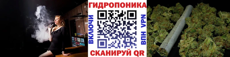 hydra вход  Грозный  Конопля марихуана 
